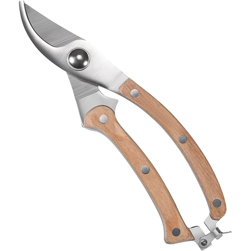 Stainless Steel Pruner